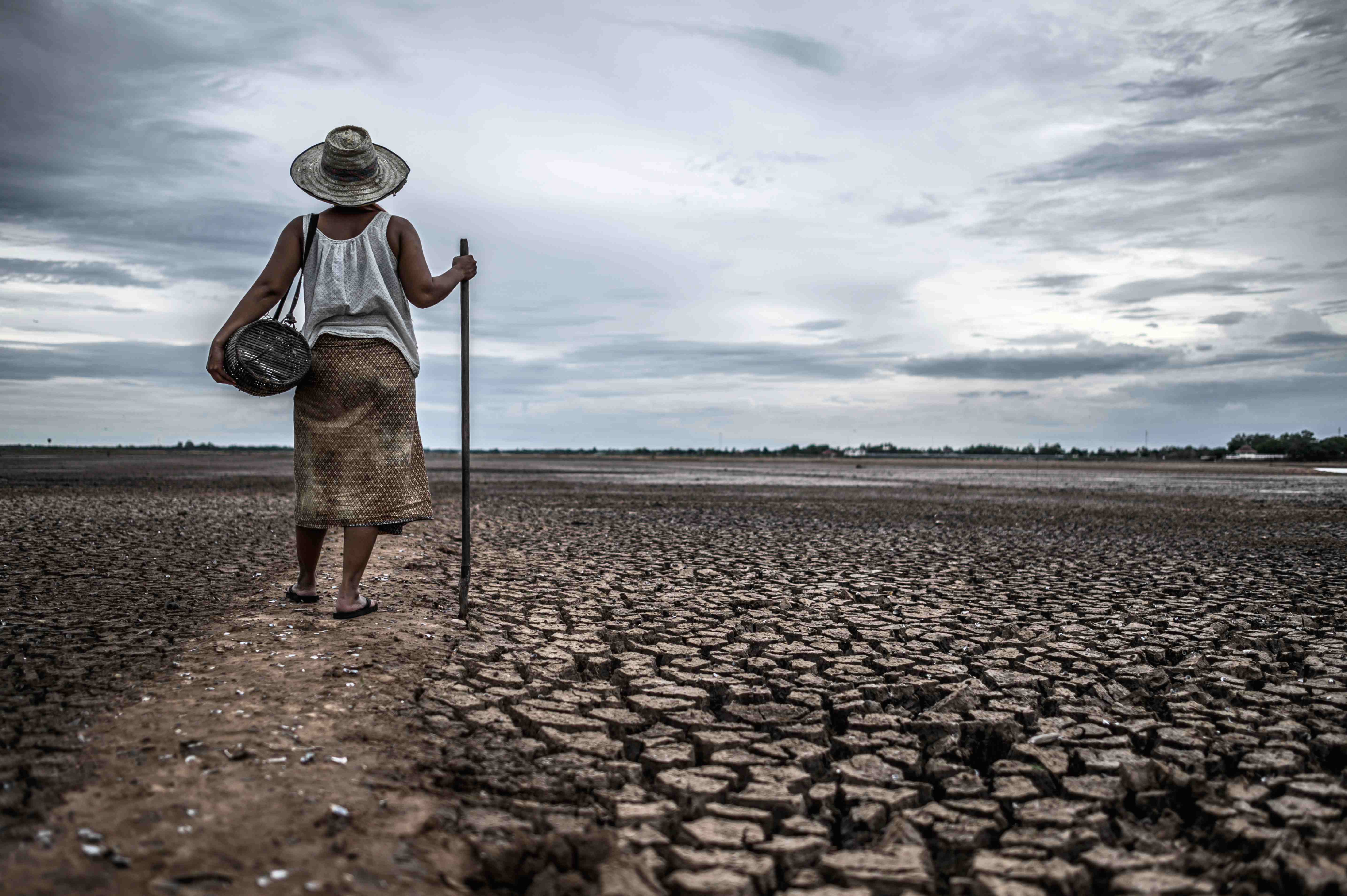 Drought-Related Migration increases risk of postpartum haemorrhage