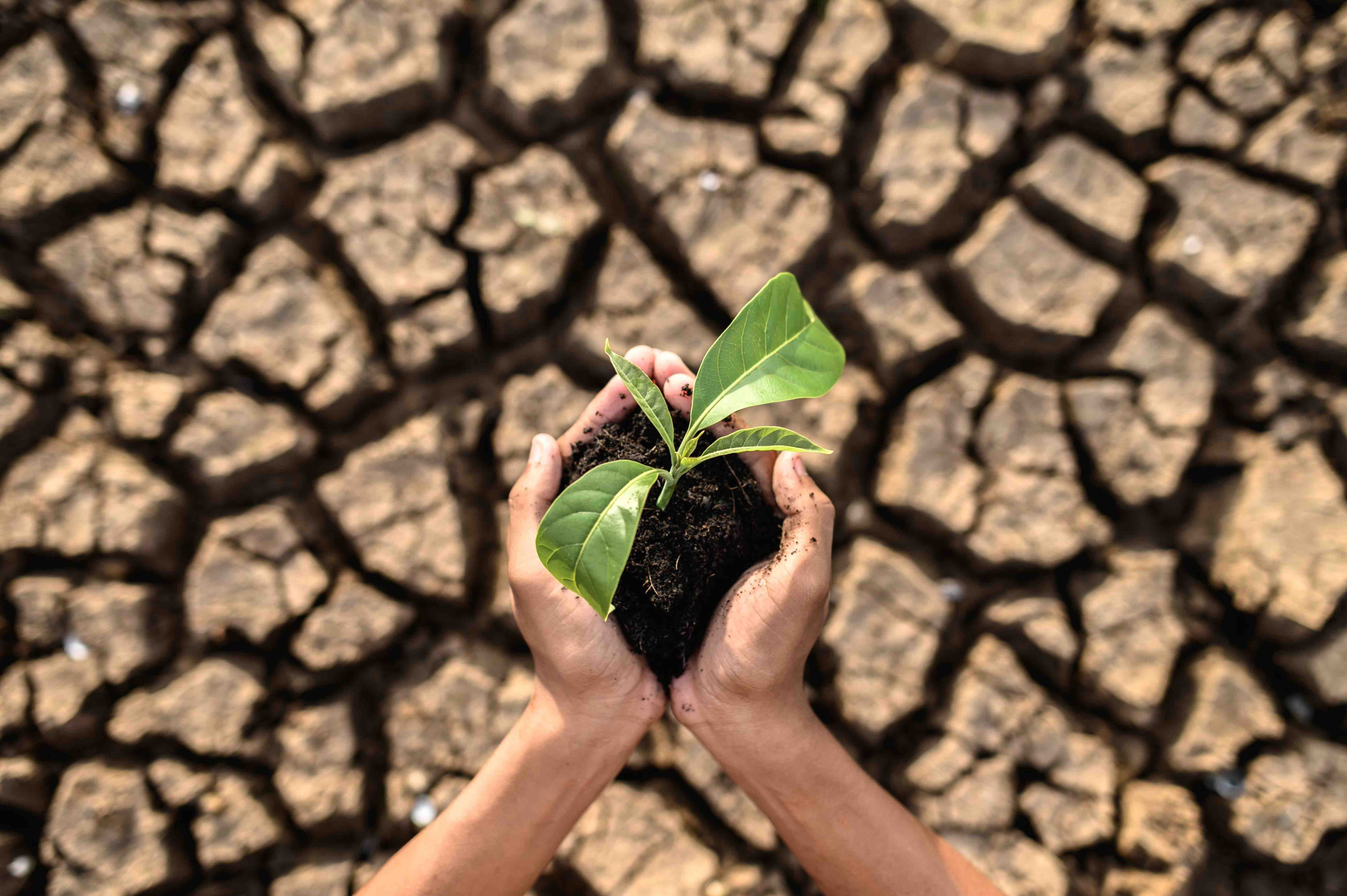From the PPH Run to Resilience: Why Climate Action Matters in ending Postpartum Haemorrhage